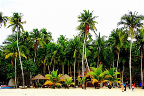 怪物の星球甜品