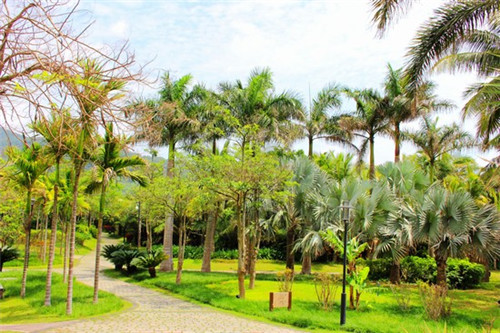 厨小厨瓦香鸡米饭