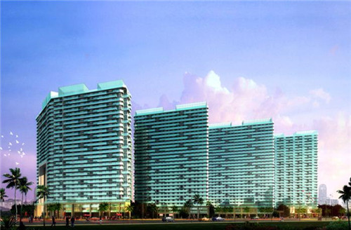 一只鲍鲍汁焖鸡