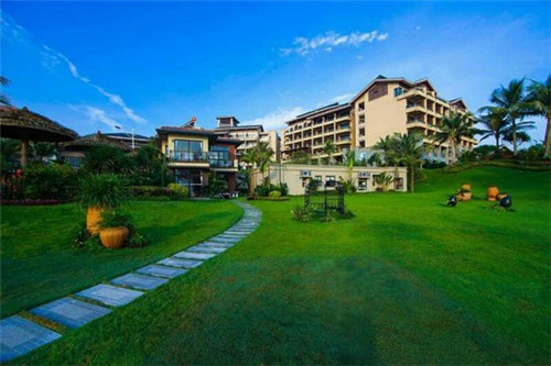 小黑唇茶油炒饭