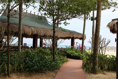 泸州老窖壹号窖代理