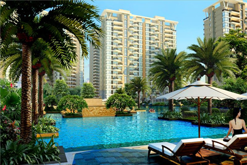 哪个品牌的阿胶块好