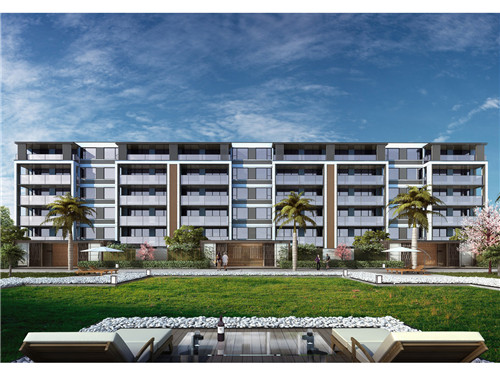 商用奶茶店养生茶是什么，商用做奶茶用什么奶粉好