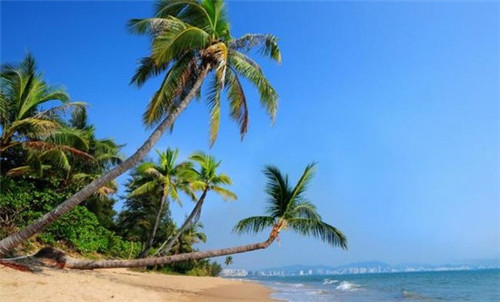 宁德牛排加盟费多少