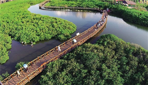 适合80后的奶茶项目有哪些，加盟一芳水果茶一天多少钱保本