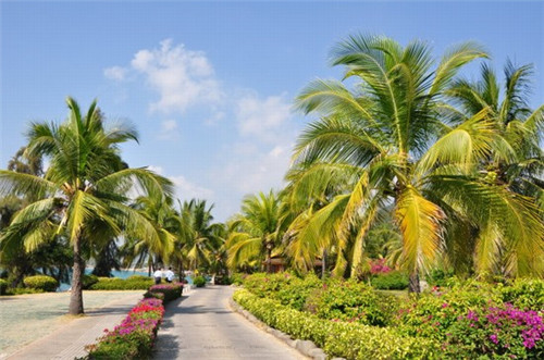 你的人生梦想是什么意思（人生的梦想怎么写）