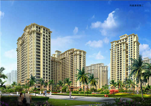 50天的猫用什么猫砂（五十多天的猫咪吃什么）