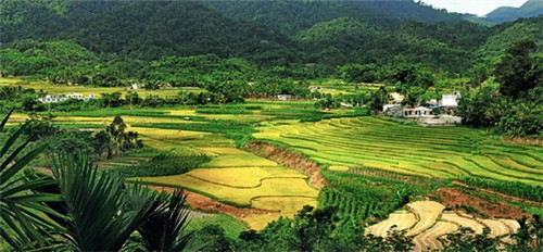 入画杨佳林歌曲（入画林慧歌词）